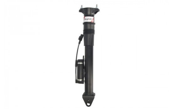 Pneumatic strut