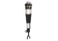 Pneumatic strut