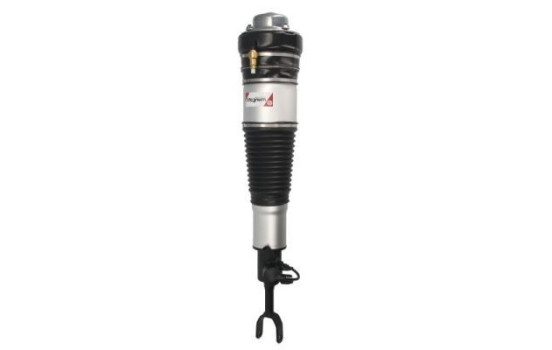 Pneumatic strut