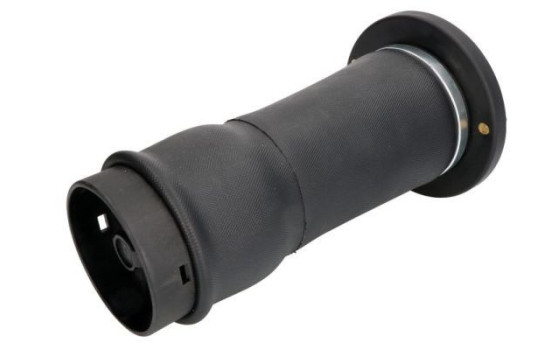 Pneumatic strut, Image 2