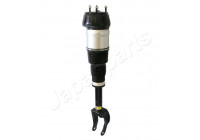Pneumatic strut