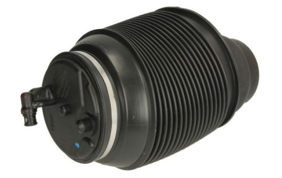Pneumatic strut
