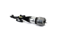Pneumatic strut
