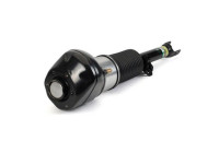 Pneumatic strut