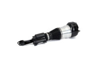 Pneumatic strut