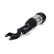 Pneumatic strut, Thumbnail 2