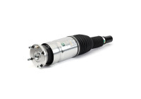 Pneumatic strut