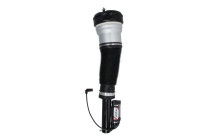 Pneumatic strut