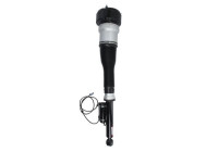 Pneumatic strut
