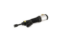 Pneumatic strut
