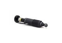 Pneumatic strut