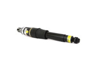 Pneumatic strut