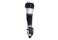 Pneumatic strut