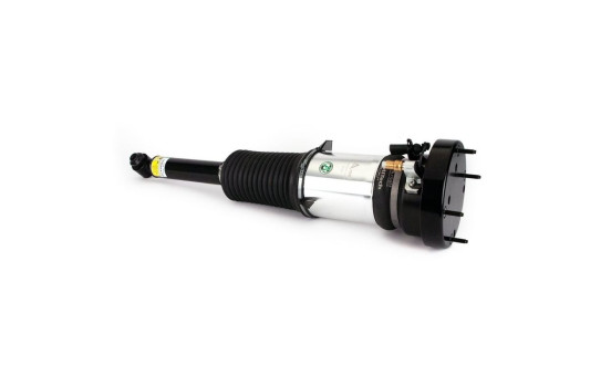 Pneumatic strut