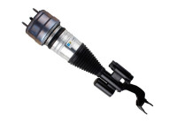 Pneumatic strut