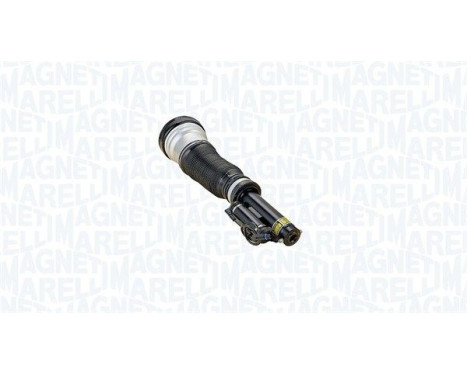 Pneumatic strut