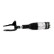Pneumatic strut