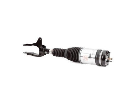 Pneumatic strut, Image 2