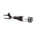 Pneumatic strut, Thumbnail 2