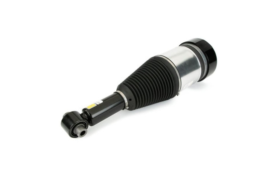 Pneumatic strut, Image 2