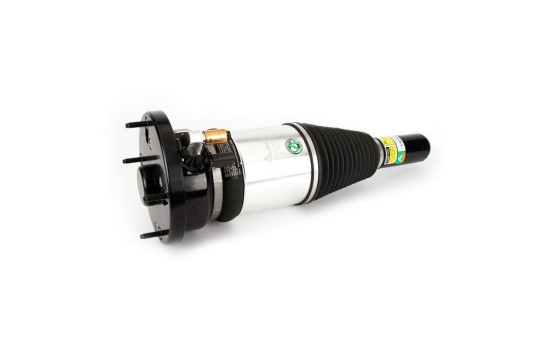 Pneumatic strut