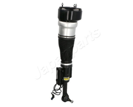 Pneumatic strut