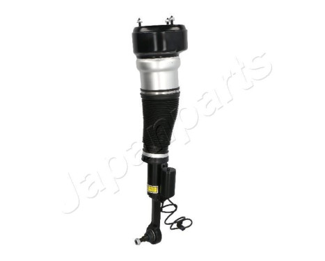 Pneumatic strut, Image 2