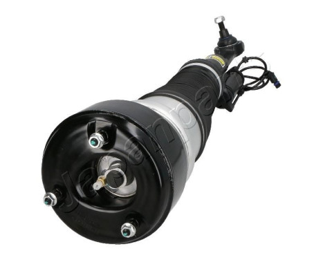 Pneumatic strut, Image 3