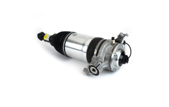 Pneumatic strut