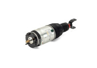 Pneumatic strut