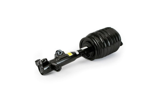Pneumatic strut, Image 2