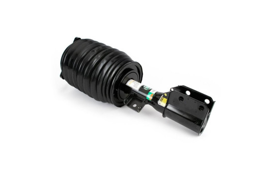 Pneumatic strut, Image 2
