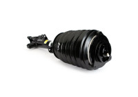 Pneumatic strut