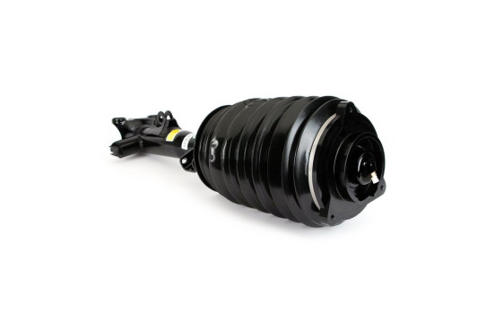 Pneumatic strut