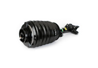 Pneumatic strut