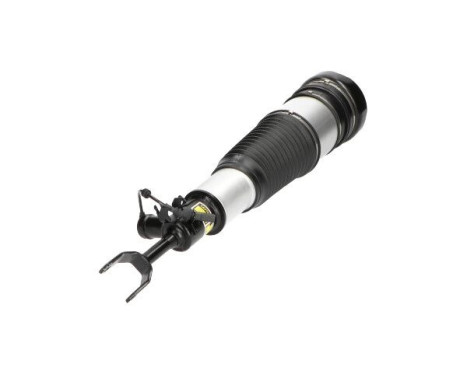 Pneumatic strut