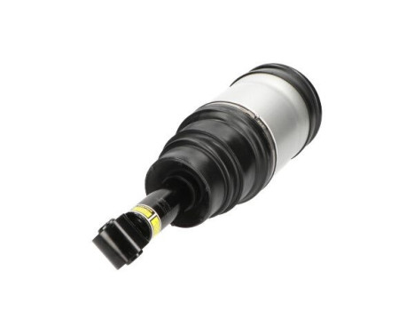 Pneumatic strut