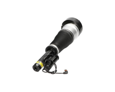 Pneumatic strut