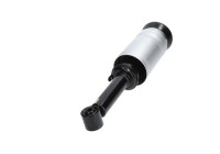 Pneumatic strut