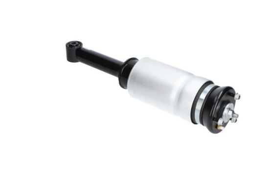 Pneumatic strut, Image 2