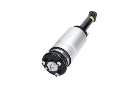 Pneumatic strut, Image 3