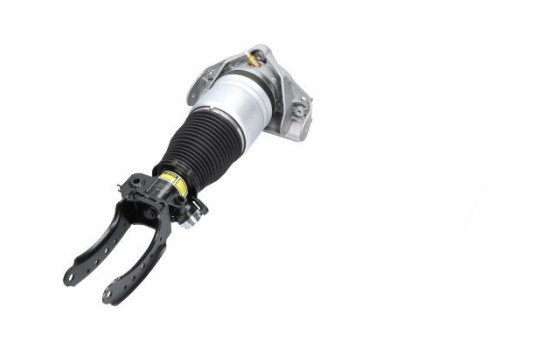 Pneumatic strut
