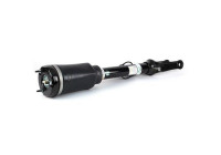 Pneumatic strut