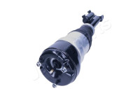 Pneumatic strut