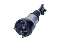 Pneumatic strut