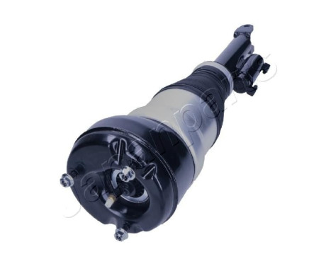 Pneumatic strut