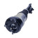 Pneumatic strut