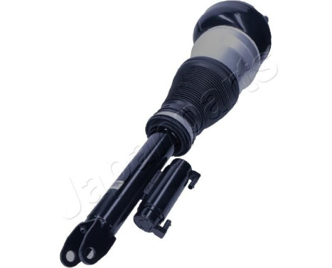 Pneumatic strut, Image 2