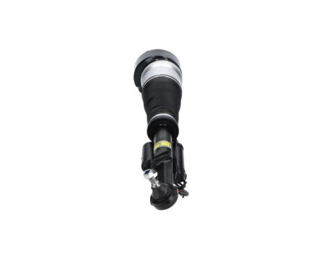 Pneumatic strut