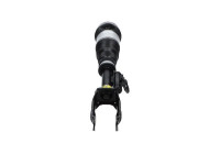 Pneumatic strut